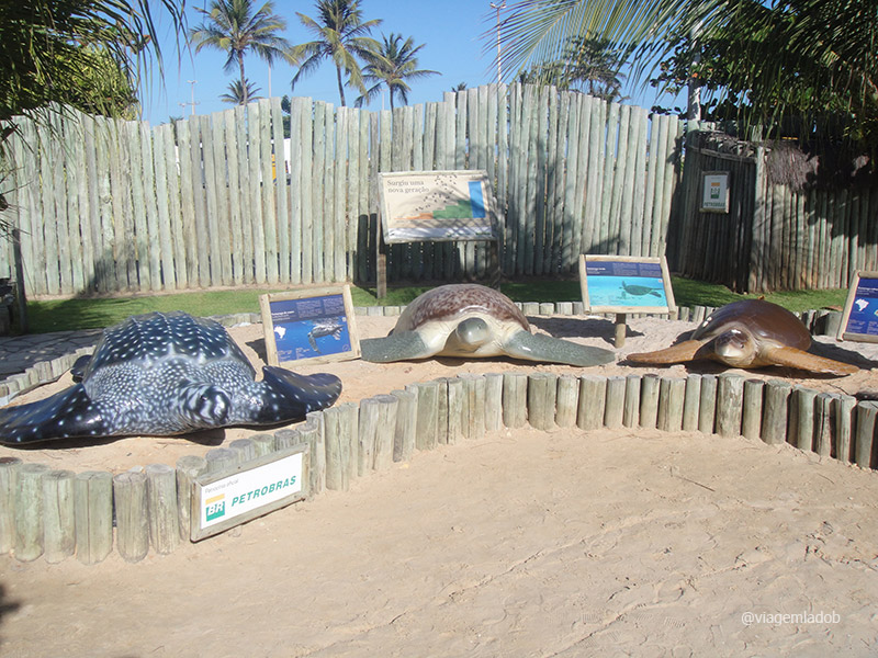 Oceanário de Aracaju