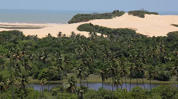 Pantanal de Pacatuba – O santuário ecológico de Sergipe