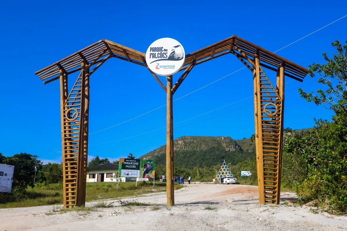 🦅 Parque dos Falcões – Uma experiência única com aves de rapina em Sergipe