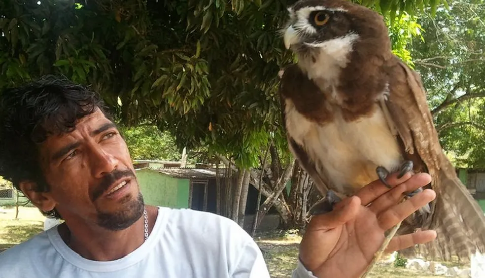 🦅 Parque dos Falcões – Uma experiência única com aves de rapina em Sergipe