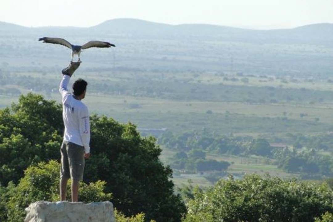 🦅 Parque dos Falcões – Uma experiência única com aves de rapina em Sergipe